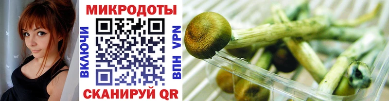 Псилоцибиновые грибы мицелий Лобня
