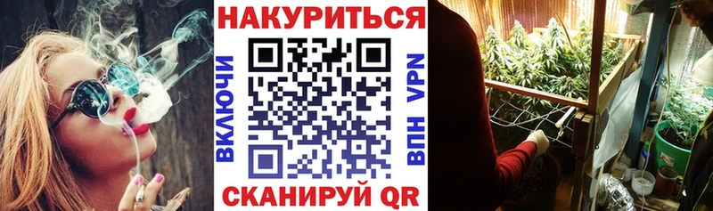 darknet формула закладка Лобня Канабис планчик
